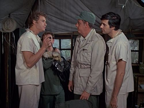 Bananas, Crackers and Nuts 6