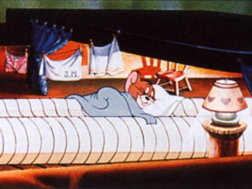 T&J sleep