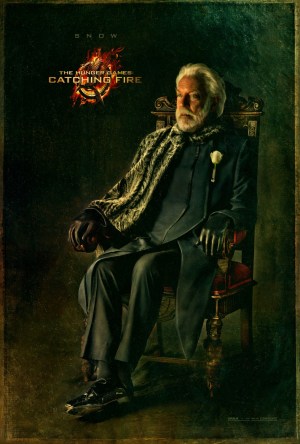 The Hunger Games Catching Fire Poster14