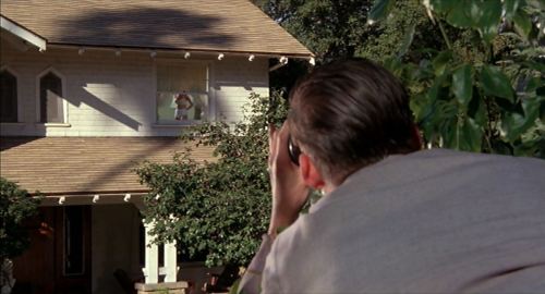 Back to the Future 36