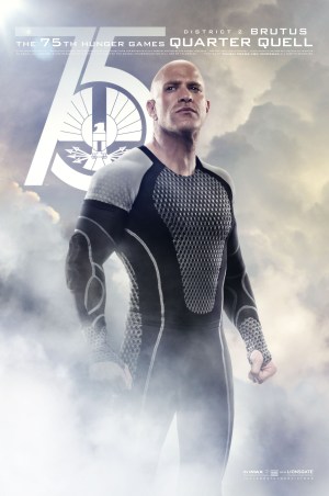 The Hunger Games Catching Fire Poster d