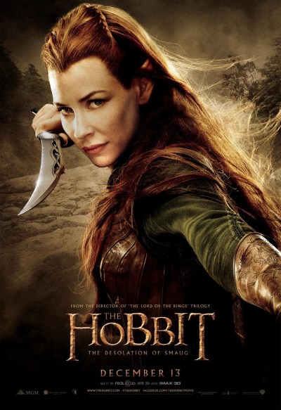 The Hobbit The Desolation of Smaug Poster 13
