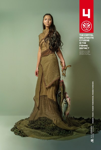 The Hunger Games Mockingjay Part 1 Poster #3