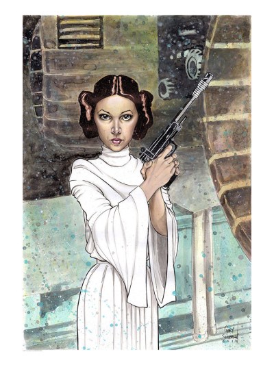 Star Wars Determined Diplomat by Gary Shipman