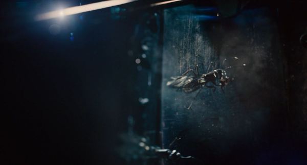 Ant-Man Image #29