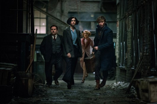 Fantastic Beasts and Where to Find Them Image #12