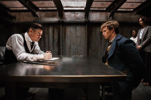 Fantastic Beasts and Where to Find Them Image #13