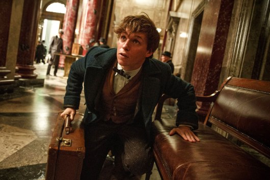 Fantastic Beasts and Where to Find Them Image #5